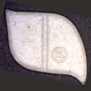 White Dolphin XTC X10  x 1's