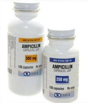 Ampicillin (Principen) 500mg x 1's